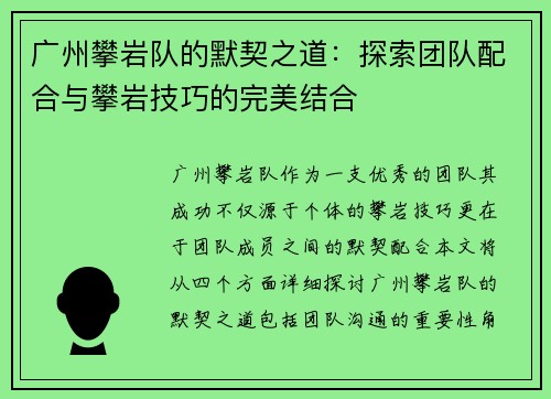 广州攀岩队的默契之道：探索团队配合与攀岩技巧的完美结合