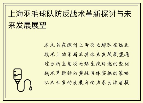 上海羽毛球队防反战术革新探讨与未来发展展望