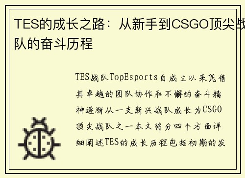 TES的成长之路：从新手到CSGO顶尖战队的奋斗历程